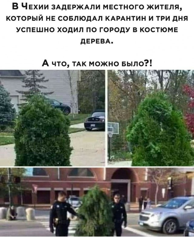 Когда больше нет никаких сил находиться в условиях строгой изоляции