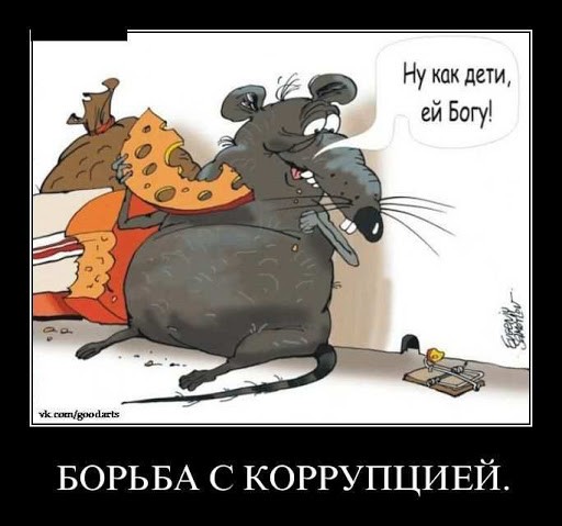 Замглавы воронежского ГИБДД с 22 квартирами перевели на другую работу