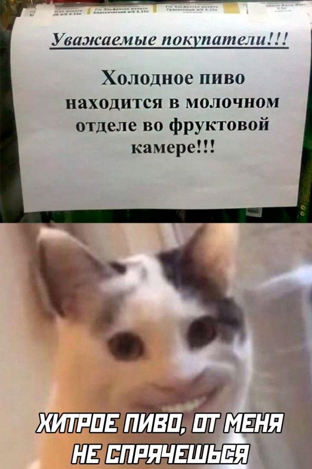 Снова 25 кретинизмов из сети 03.06.2020
