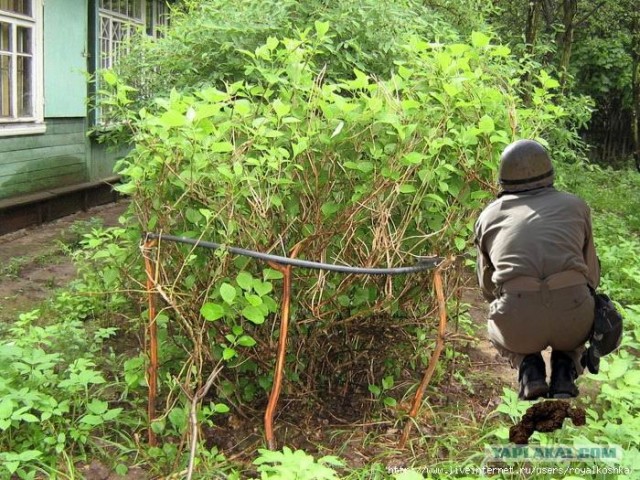 Фотожаба: Один в поле не воин?