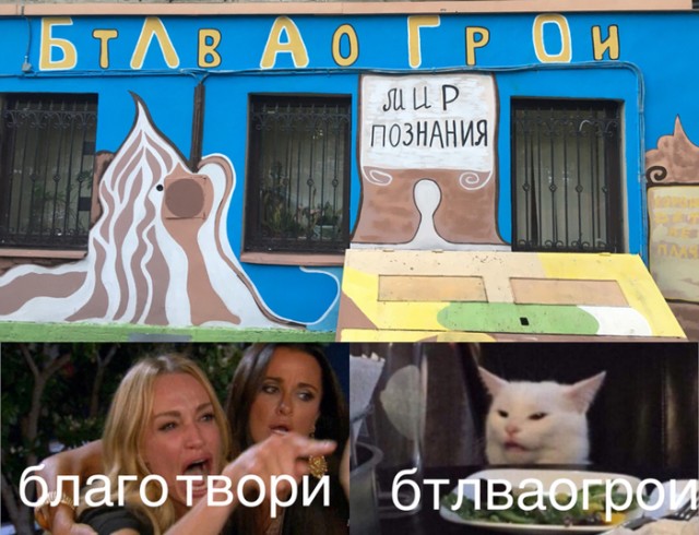 Прошёл целый год! А они всё орут на бедного котика