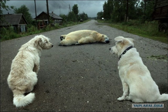 Пословицы
