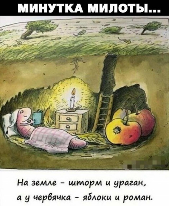 Юмор в картинках 9.11.20