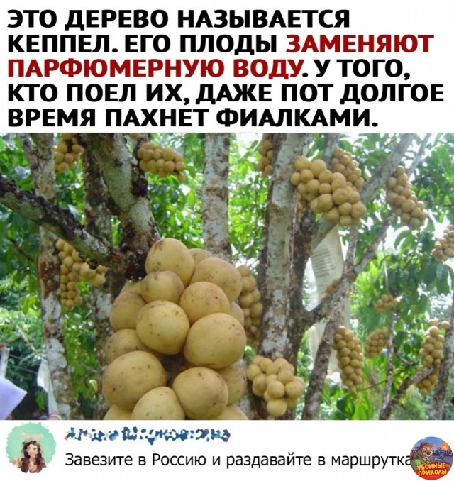 Кретинизмы из сети 05.02.21
