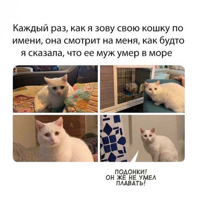 Картинки и мемы для настроения 019