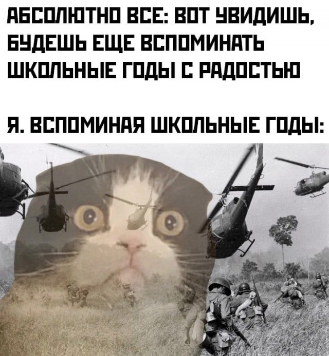Весёлый полтишок 10.08