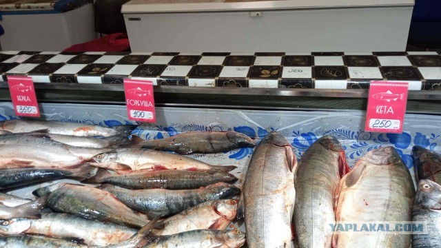 Россияне стали реже есть красную икру