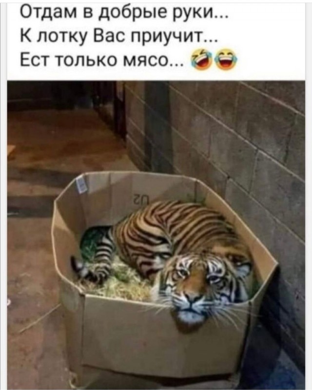 Картинки и мемы для настроения 21.10.21