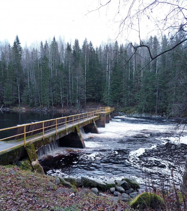 Для успокоения нервной системы
