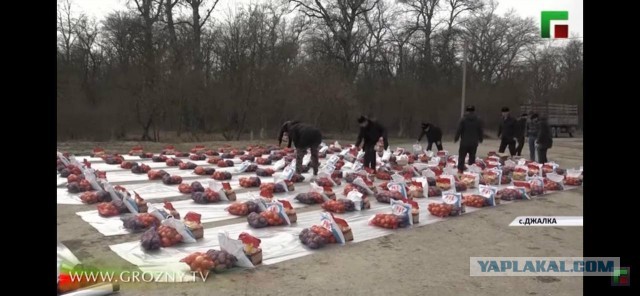 Гиркин высмеял Рамзана Кадырова и уличил его во лжи