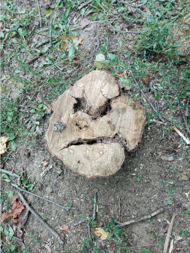 Фотки с телефона.
