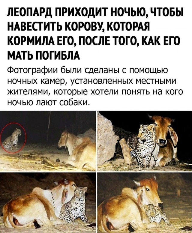 Так себе картинки 14.04.22