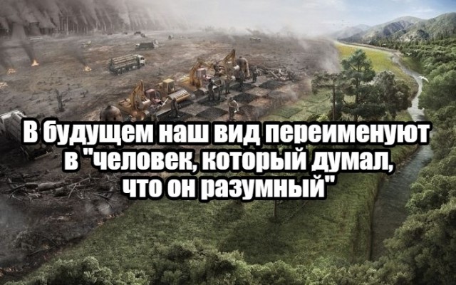 40 картинок разных 15.04.2022