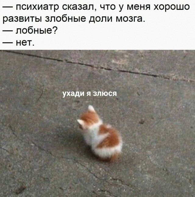 Юмор в картинках и без