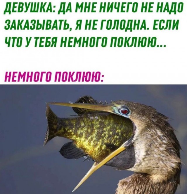Картинки и мемы для настроения - 03