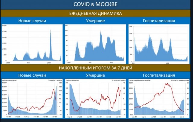 Пандемия съехавших крыш - разновидности болезни. Россия и мир. Часть 39.