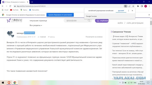 Пандемия съехавших крыш - разновидности болезни. Россия и мир. Часть 40.