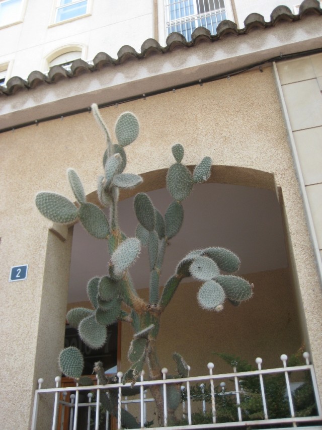 Испания - чудесная страна!