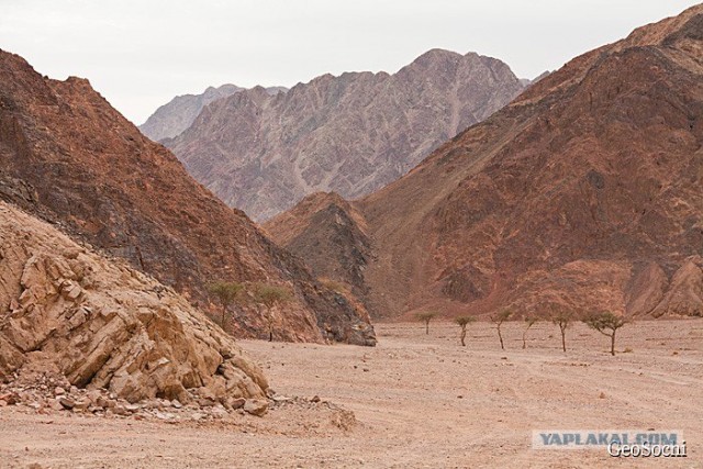 Синайские приключения. Шарм-эш-Шейх и окресности