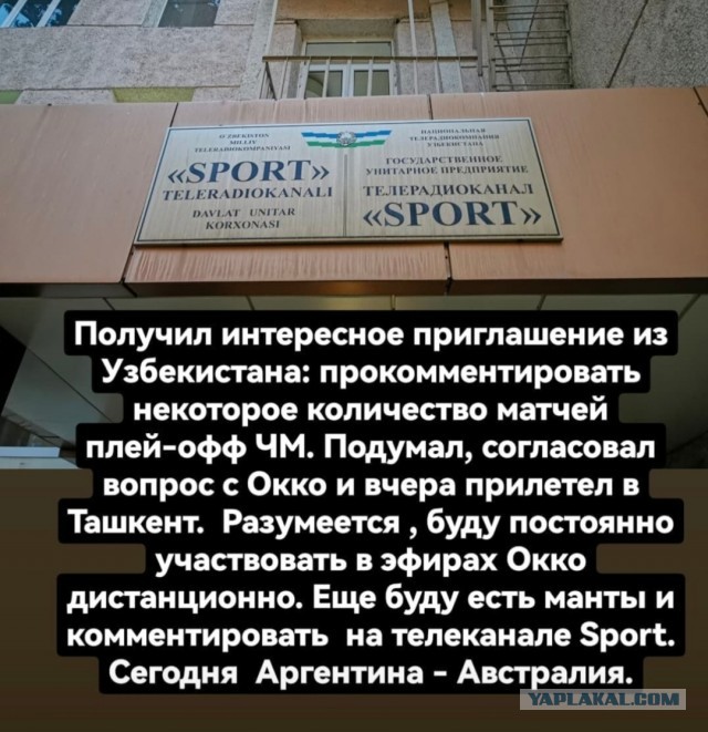 Катар 2022