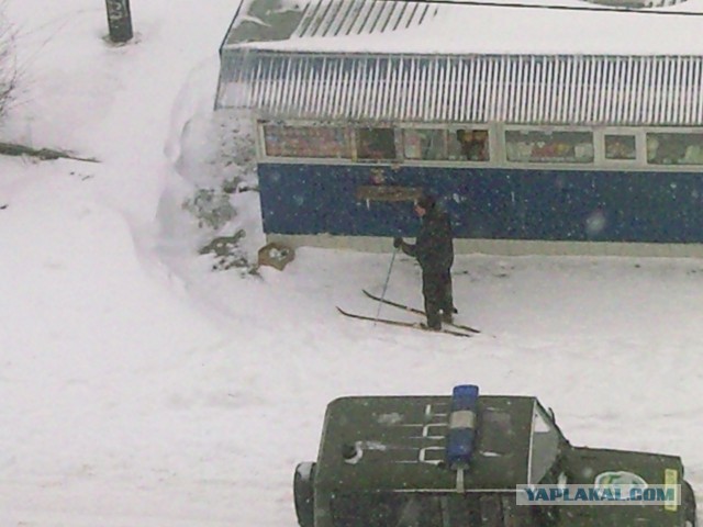 23 марта. Киев. Весна.