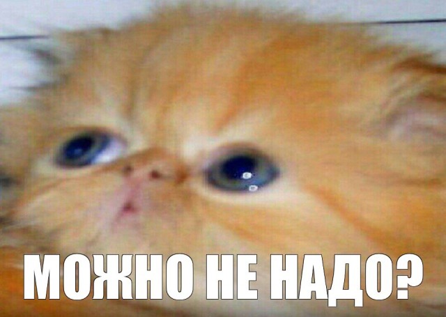 Тут тоже нужен переводчик