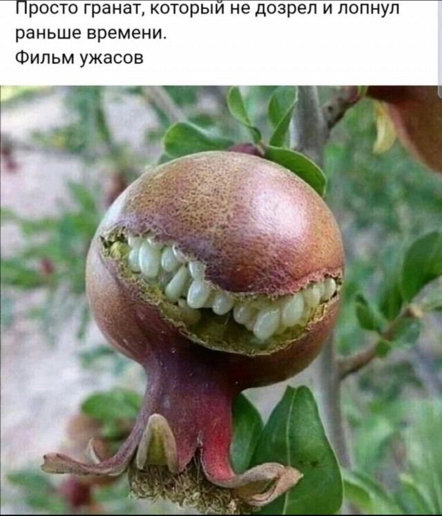 Картинки и мемы, всем хороших выходных