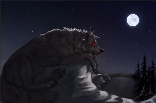 Победная поступь идиотизма по планете – том 12