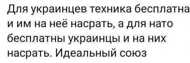 Под Авдеевкой два экипажа украинских БМП сдались в плен российским силам