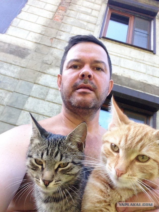 Котовторник для здорового мужика , и почему я плачу