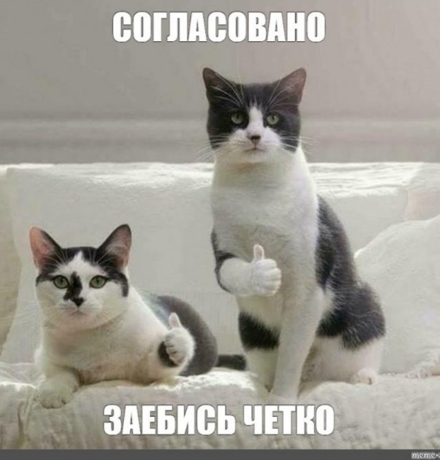 Это вам не в Европах такое выделывать