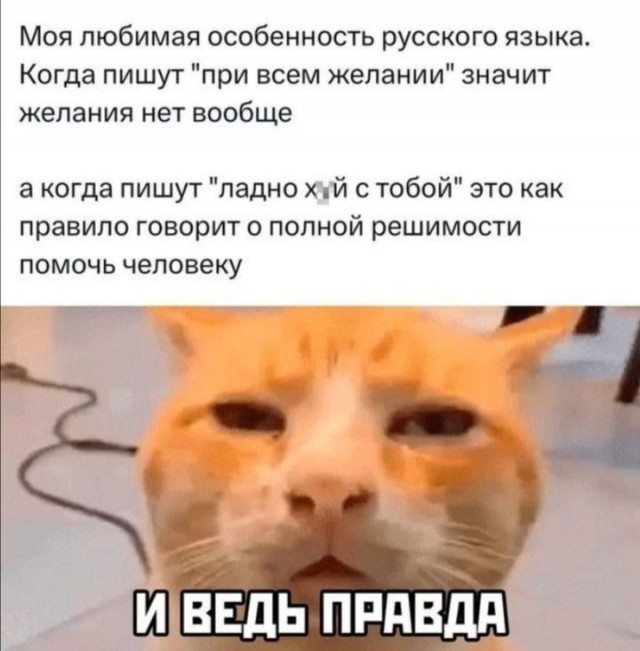 Весёлый полтишок 28.09.23