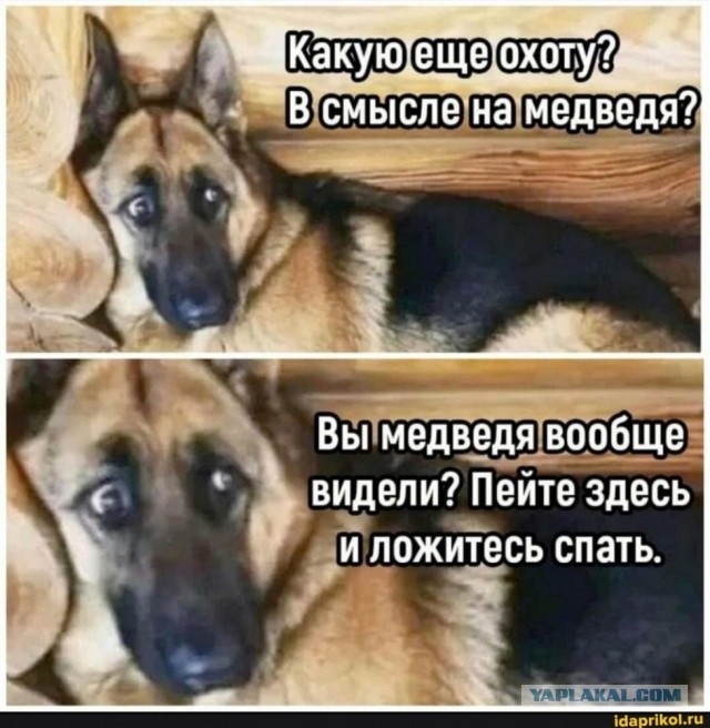 Медведь отгрыз охотнику щёку, но тот отомстил, превратив хищника в шашлык