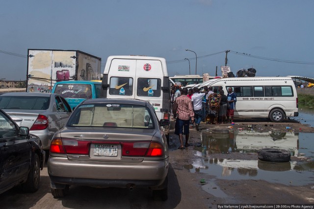 Только крокодилы спасут эту страну от мудаков!