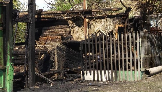 В Казахстане 95-летний дед избил жену, взорвал дом и попал в больницу из-за неправильно посаженной картошки.