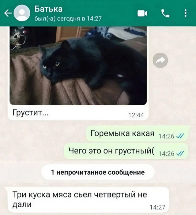 Завалялось тут случайно немного забавных картинок