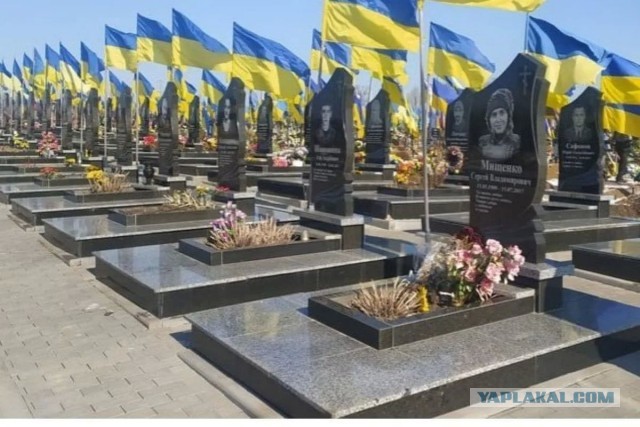Великая Отечественная война на редких и не очень фото