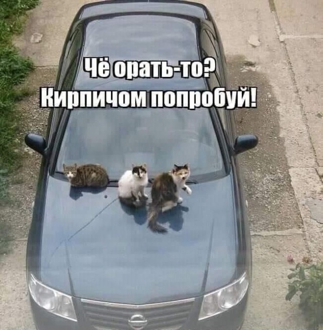 Завалялось тут случайно немного забавных картинок