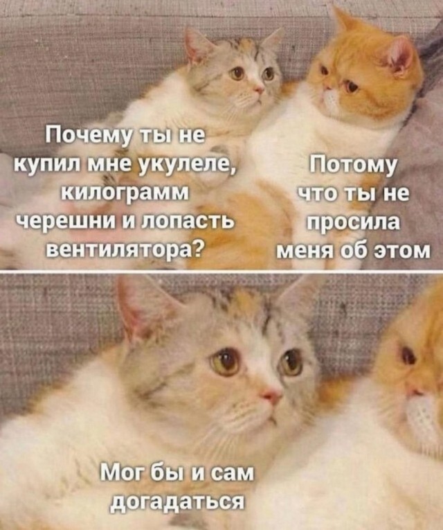 Немного забавных картинок от 13.10.2024