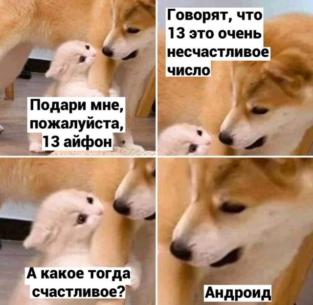 Айфон зло!