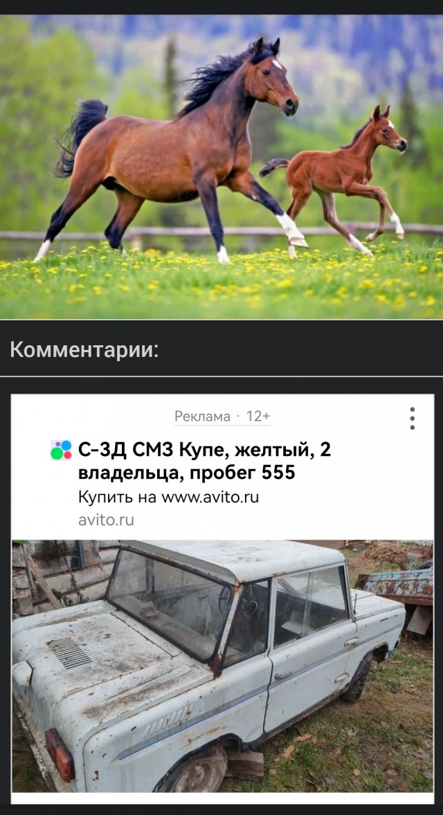 В Госдуме предложили выдавать многодетным семьям лошадь вместо автомобиля