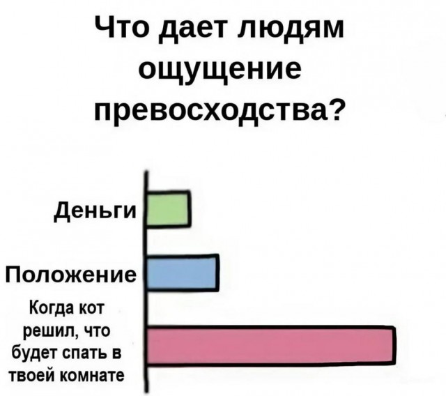 Всего понемногу. От 21.11.2024.
