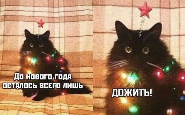 Картинков разных вам.