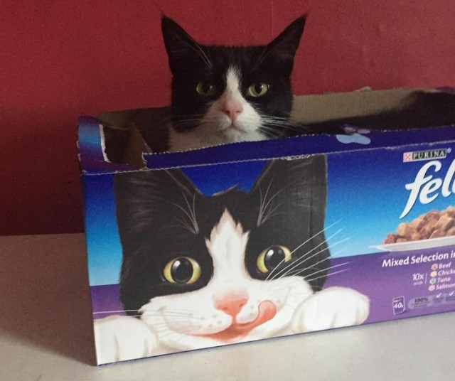 У кого-то сегодня подарок