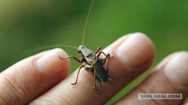 Измерение температуры воздуха