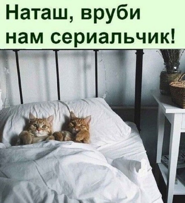 Так себе картинки 17.03.25