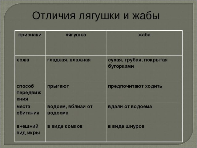 "Бывшую жену по известному адресу": как меня развели на жалость, и я повёлся