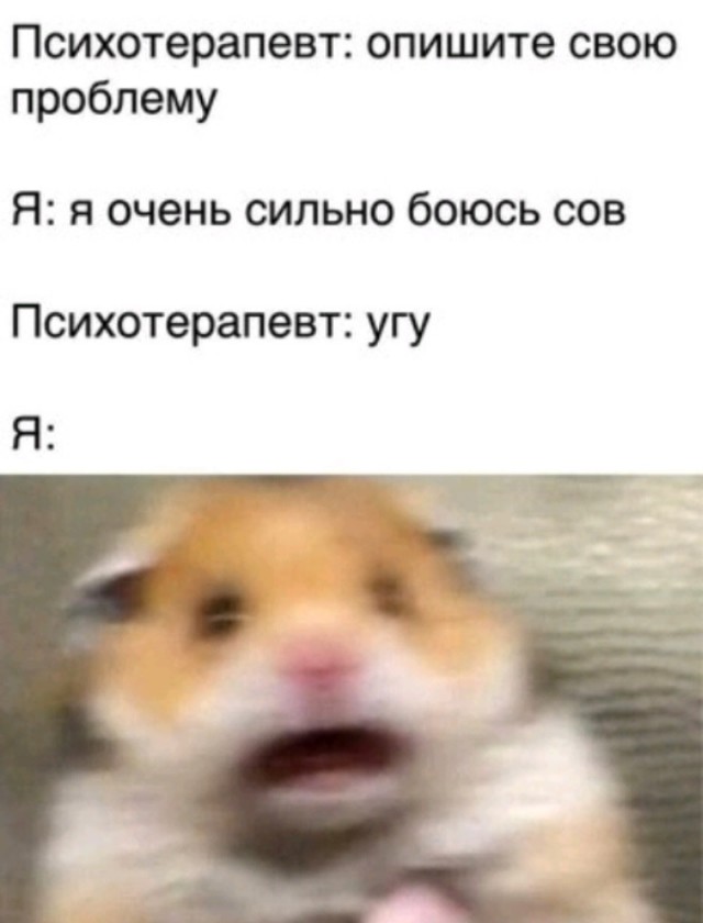 Тем сегодня не будет, сову мобилизовали