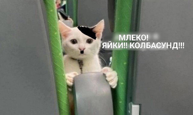 Здрасьте... я ваш попучник