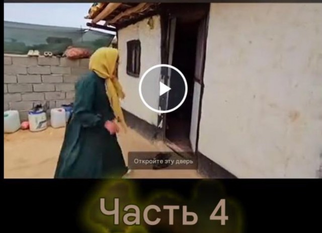 Вот где веселуха
